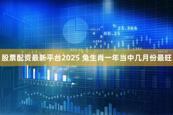 股票配资最新平台2025 兔生肖一年当中几月份最旺